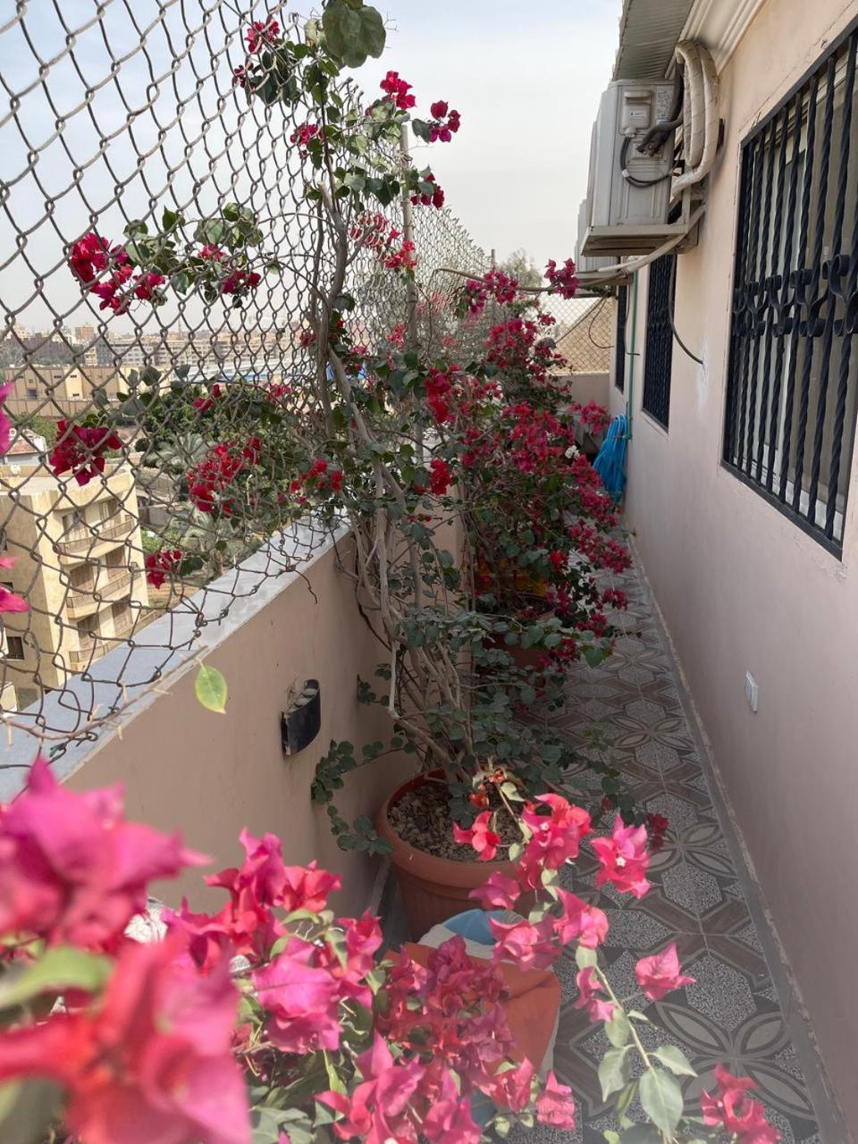 Pulse Luxury Pyramids View Apartment Cairo