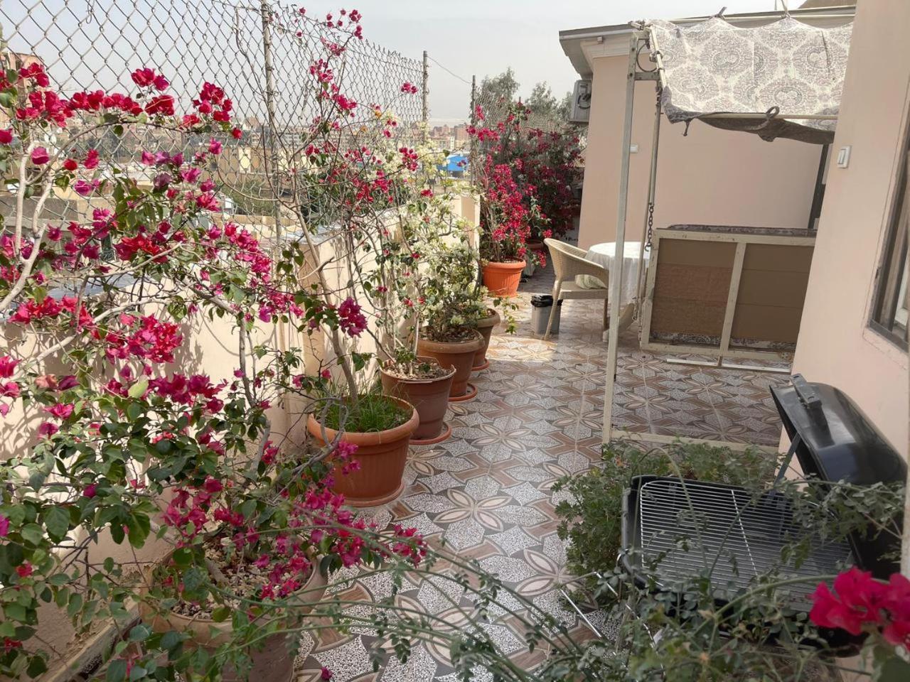 Pulse Luxury Pyramids View