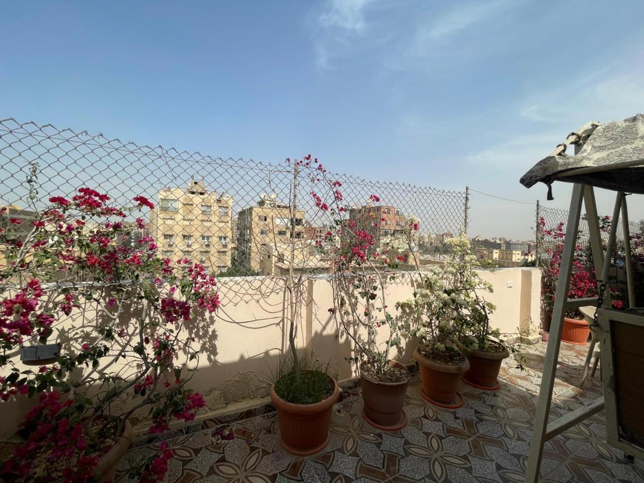 Pulse Luxury Pyramids View Cairo